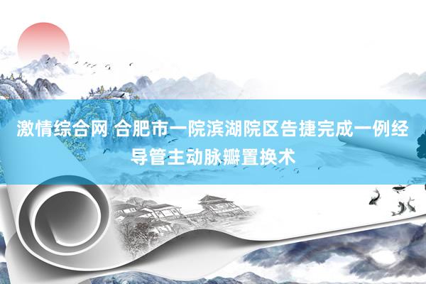 激情综合网 合肥市一院滨湖院区告捷完成一例经导管主动脉瓣置换术