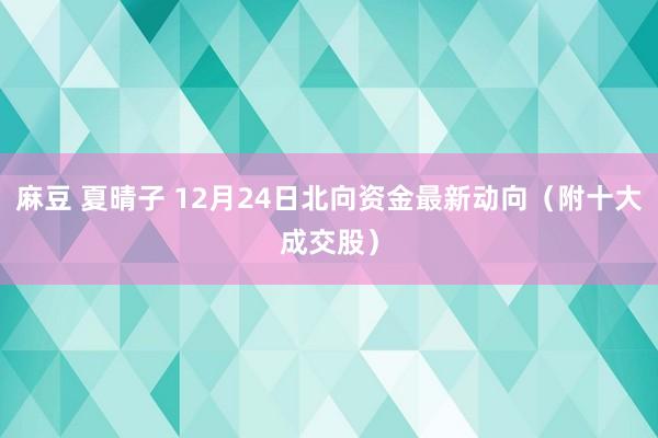 麻豆 夏晴子 12月24日北向资金最新动向（附十大成交股）