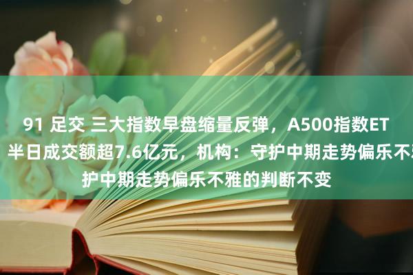 91 足交 三大指数早盘缩量反弹，A500指数ETF（560610）半日成交额超7.6亿元，机构：守护中期走势偏乐不雅的判断不变