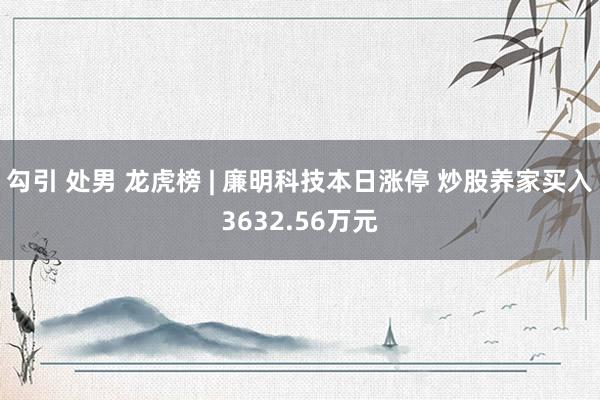 勾引 处男 龙虎榜 | 廉明科技本日涨停 炒股养家买入3632.56万元