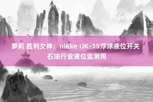 萝莉 胜利女神：nikke UK-15浮球液位开关 石油行业液位监测用