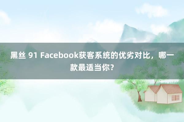 黑丝 91 Facebook获客系统的优劣对比，哪一款最适当你？