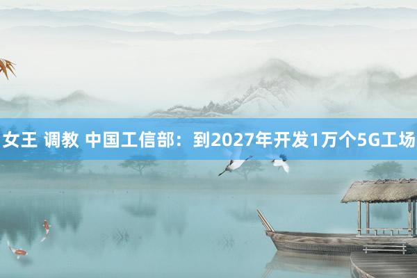 女王 调教 中国工信部：到2027年开发1万个5G工场