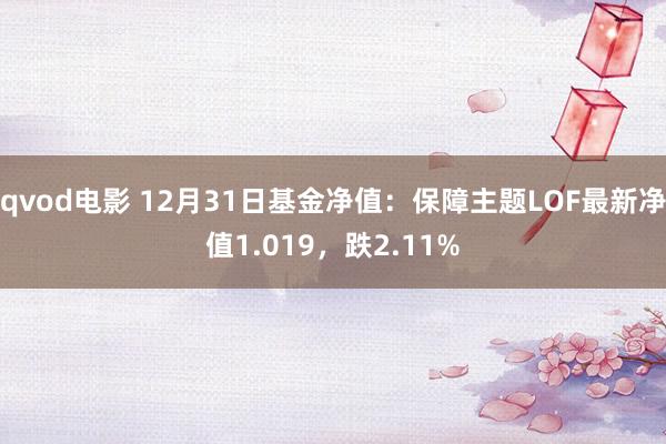 qvod电影 12月31日基金净值：保障主题LOF最新净值1.019，跌2.11%