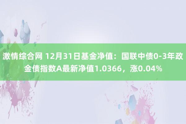 激情综合网 12月31日基金净值：国联中债0-3年政金债指数A最新净值1.0366，涨0.04%