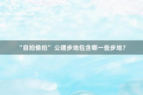 “自拍偷拍” 公建步地包含哪一些步地？