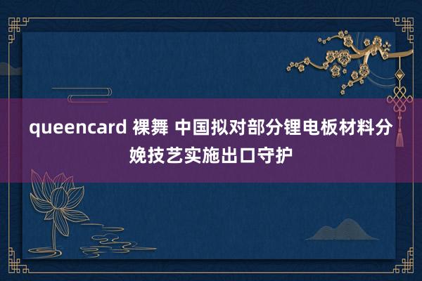 queencard 裸舞 中国拟对部分锂电板材料分娩技艺实施出口守护