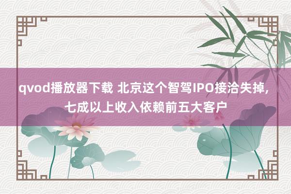 qvod播放器下载 北京这个智驾IPO接洽失掉, 七成以上收入依赖前五大客户