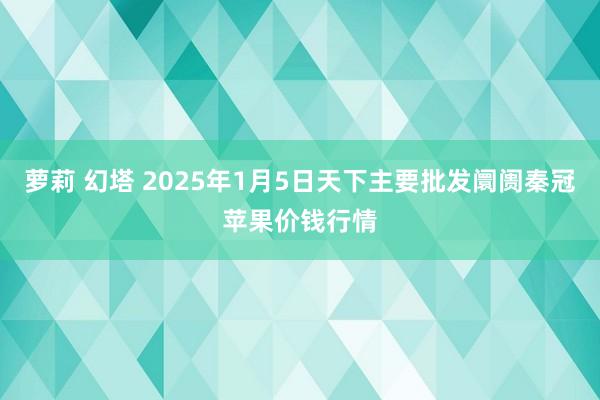 萝莉 幻塔 2025年1月5日天下主要批发阛阓秦冠苹果价钱行情