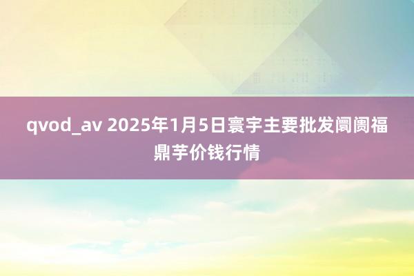 qvod_av 2025年1月5日寰宇主要批发阛阓福鼎芋价钱行情