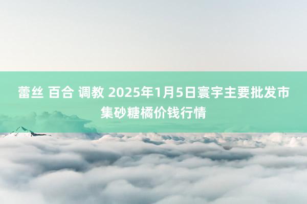 蕾丝 百合 调教 2025年1月5日寰宇主要批发市集砂糖橘价钱行情