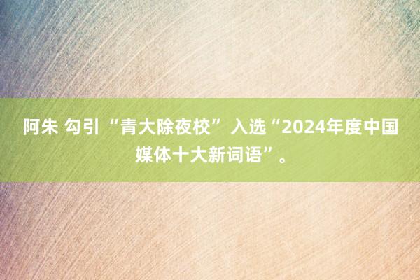 阿朱 勾引 “青大除夜校” 入选“2024年度中国媒体十大新词语”。