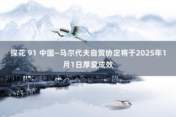 探花 91 中国—马尔代夫自贸协定将于2025年1月1日厚爱成效