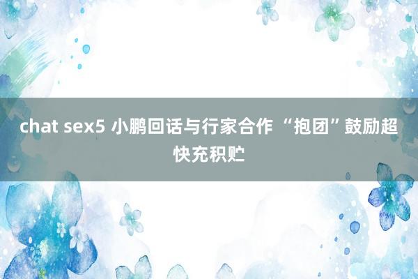 chat sex5 小鹏回话与行家合作 “抱团”鼓励超快充积贮