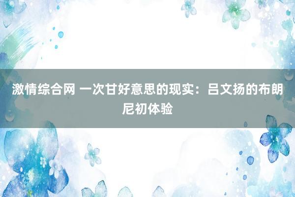 激情综合网 一次甘好意思的现实：吕文扬的布朗尼初体验