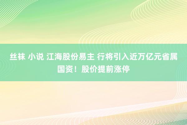 丝袜 小说 江海股份易主 行将引入近万亿元省属国资！股价提前涨停