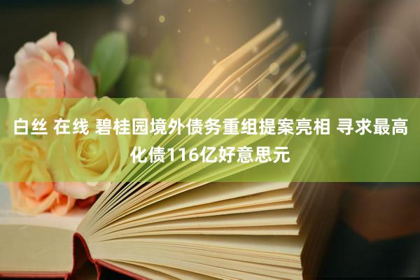 白丝 在线 碧桂园境外债务重组提案亮相 寻求最高化债116亿好意思元