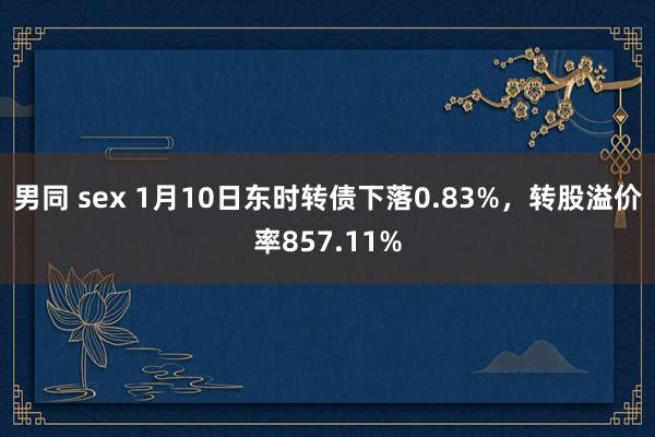 男同 sex 1月10日东时转债下落0.83%，转股溢价率857.11%