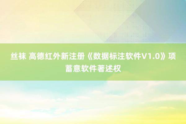 丝袜 高德红外新注册《数据标注软件V1.0》项蓄意软件著述权