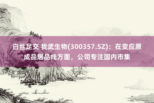 白丝足交 我武生物(300357.SZ)：在变应原成品居品线方面，公司专注国内市集