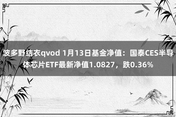 波多野结衣qvod 1月13日基金净值：国泰CES半导体芯片ETF最新净值1.0827，跌0.36%