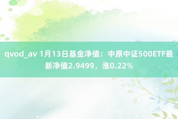 qvod_av 1月13日基金净值：中原中证500ETF最新净值2.9499，涨0.22%