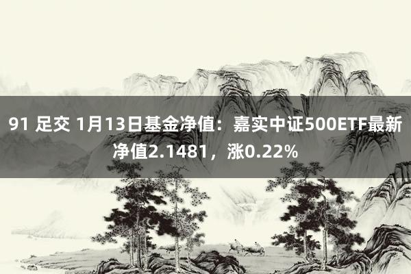 91 足交 1月13日基金净值：嘉实中证500ETF最新净值2.1481，涨0.22%