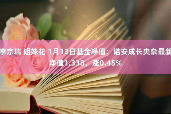 李宗瑞 姐妹花 1月13日基金净值：诺安成长夹杂最新净值1.338，涨0.45%