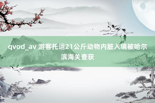 qvod_av 游客托运21公斤动物内脏入境被哈尔滨海关查获